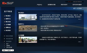 深圳特安電子與廣州企業(yè)網(wǎng)站服務(wù) 融合安全科技與數(shù)字營銷的跨城合作