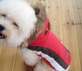 美琪妃寵Feipet 2012秋冬寵物服裝新品解析 價(jià)格、廠家與大白寵物風(fēng)尚