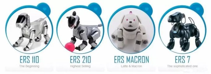 “人不如狗”？當(dāng)寵物市場(chǎng)超越婚介市場(chǎng)，我們?cè)撊绾慰创楦邢M(fèi)的變遷